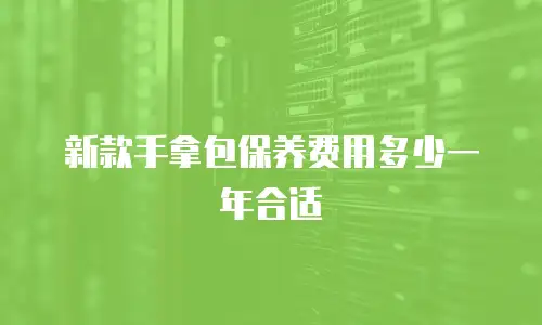 新款手拿包保养费用多少一年合适