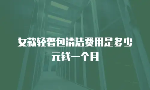 女款轻奢包清洁费用是多少元钱一个月