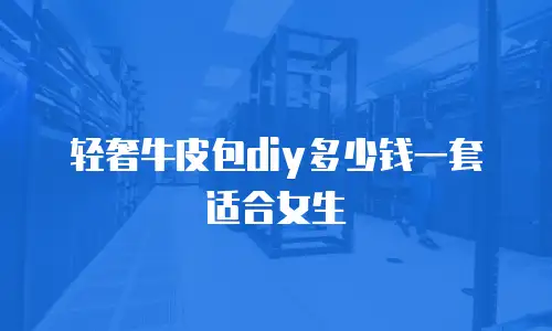 轻奢牛皮包diy多少钱一套适合女生