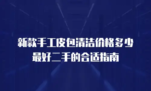 新款手工皮包清洁价格多少最好二手的合适指南