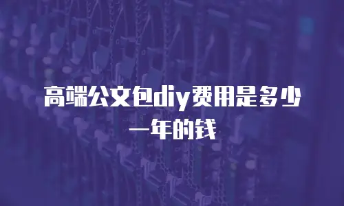 高端公文包diy费用是多少一年的钱