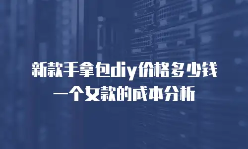新款手拿包diy价格多少钱一个女款的成本分析