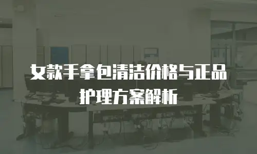 女款手拿包清洁价格与正品护理方案解析