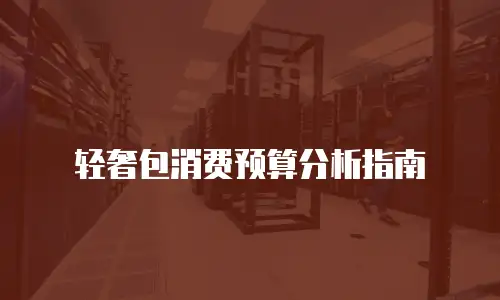 轻奢包消费预算分析指南
