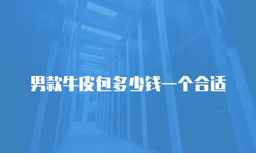 男款牛皮包多少钱一个合适