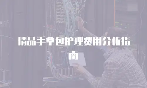精品手拿包护理费用分析指南