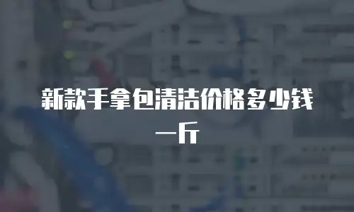 新款手拿包清洁价格多少钱一斤