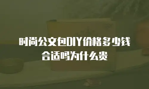 时尚公文包DIY价格多少钱合适吗为什么贵