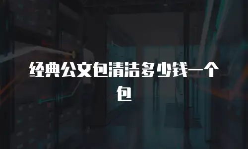 经典公文包清洁多少钱一个包