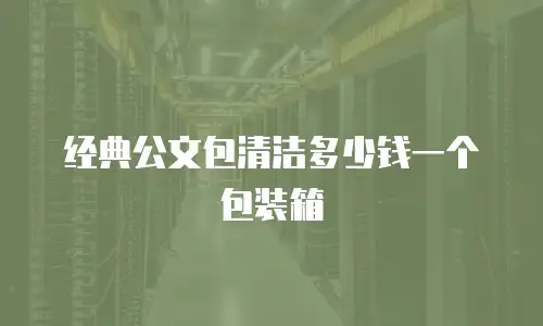 经典公文包清洁多少钱一个包装箱