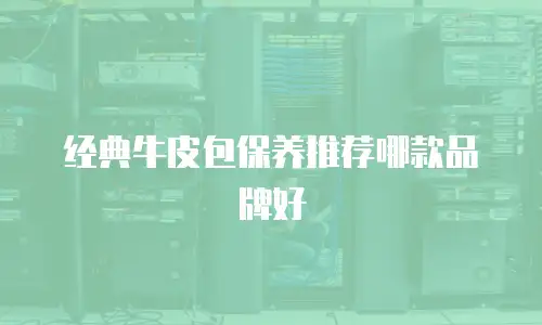 经典牛皮包保养推荐哪款品牌好