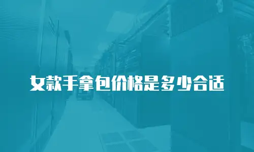 女款手拿包价格是多少合适