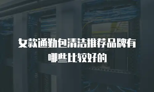 女款通勤包清洁推荐品牌有哪些比较好的