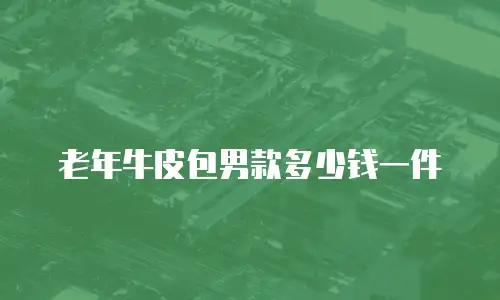 老年牛皮包男款多少钱一件