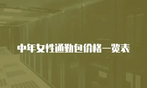 中年女性通勤包价格一览表