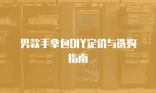 男款手拿包DIY定价与选购指南