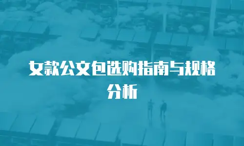 女款公文包选购指南与规格分析