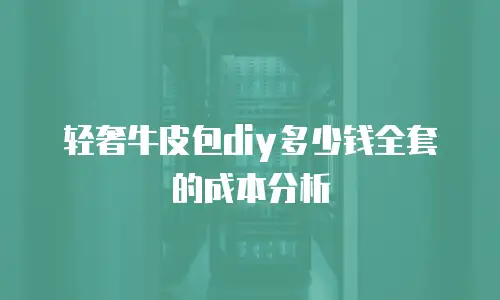 轻奢牛皮包diy多少钱全套的成本分析