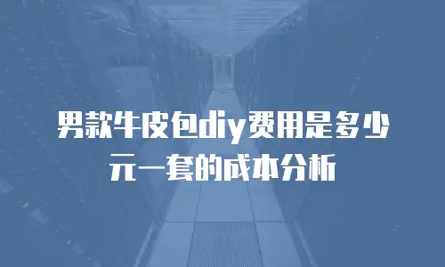 男款牛皮包diy费用是多少元一套的成本分析