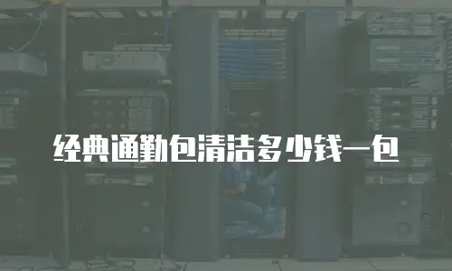 经典通勤包清洁多少钱一包