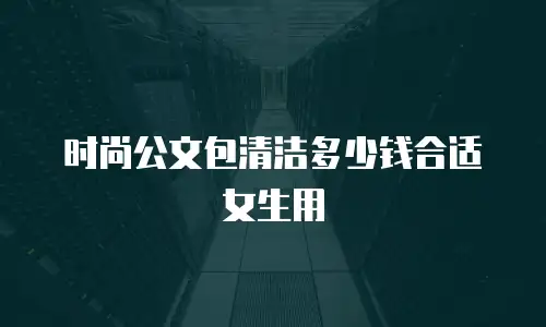 时尚公文包清洁多少钱合适女生用
