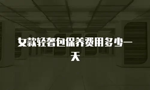 女款轻奢包保养费用多少一天