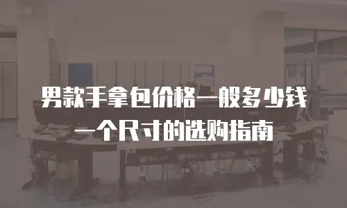男款手拿包价格一般多少钱一个尺寸的选购指南