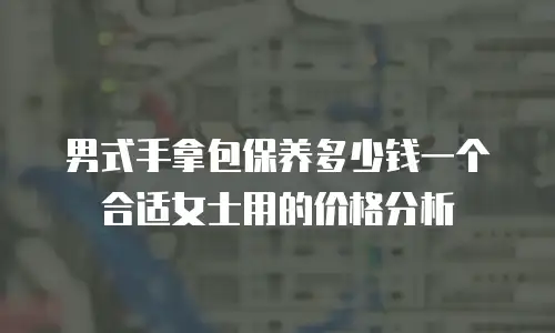 男式手拿包保养多少钱一个合适女士用的价格分析