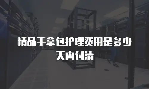 精品手拿包护理费用是多少天内付清