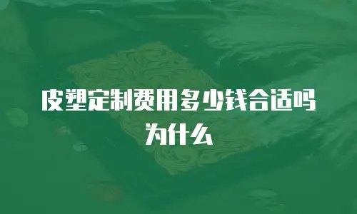 皮塑定制费用多少钱合适吗为什么