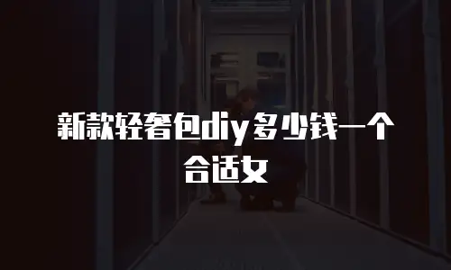 新款轻奢包diy多少钱一个合适女