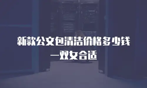 新款公文包清洁价格多少钱一双女合适