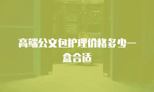 高端公文包护理价格多少一盒合适