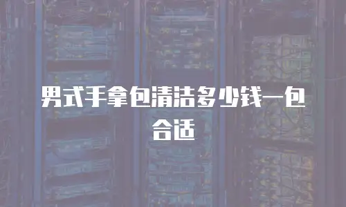 男式手拿包清洁多少钱一包合适