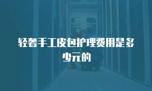 轻奢手工皮包护理费用是多少元的