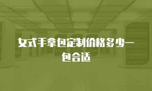 女式手拿包定制价格多少一包合适