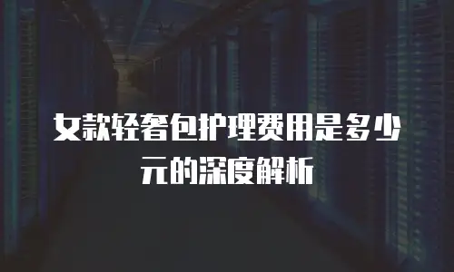 女款轻奢包护理费用是多少元的深度解析