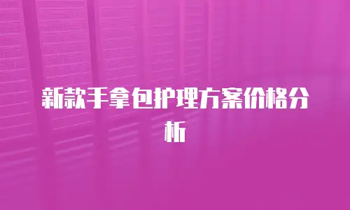 新款手拿包护理方案价格分析