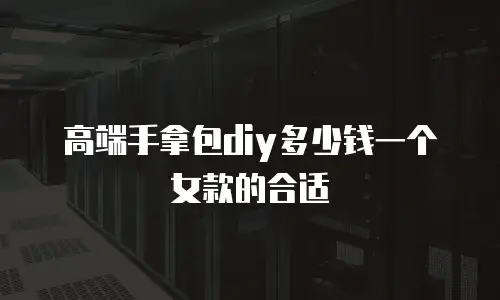 高端手拿包diy多少钱一个女款的合适