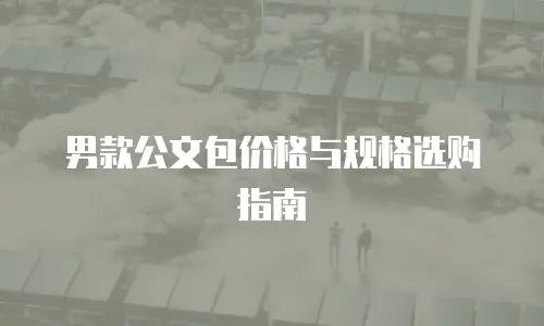 男款公文包价格与规格选购指南