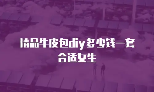 精品牛皮包diy多少钱一套合适女生