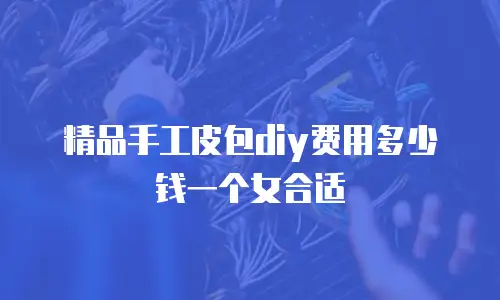 精品手工皮包diy费用多少钱一个女合适