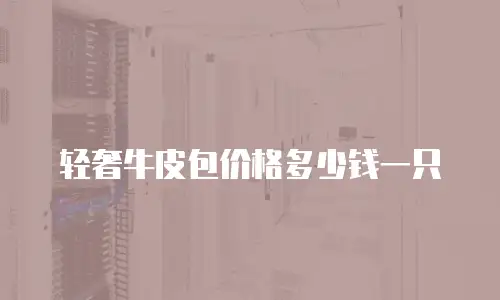 轻奢牛皮包价格多少钱一只