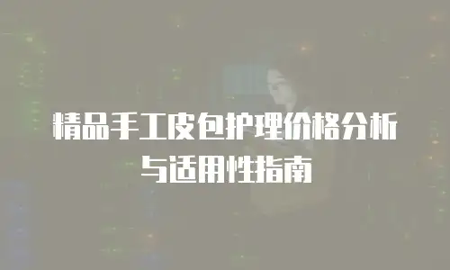 精品手工皮包护理价格分析与适用性指南