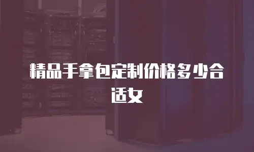 精品手拿包定制价格多少合适女