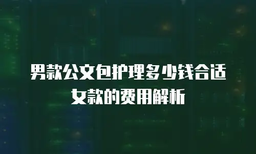 男款公文包护理多少钱合适女款的费用解析