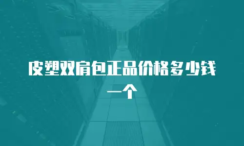 皮塑双肩包正品价格多少钱一个