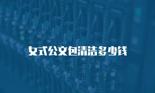 女式公文包清洁多少钱