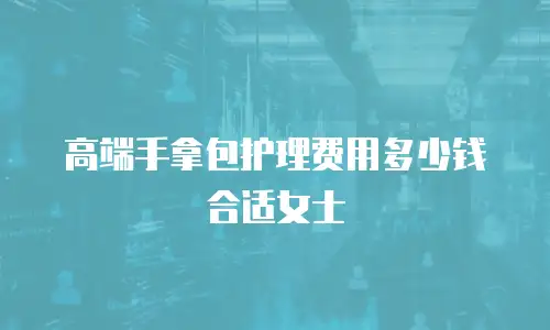 高端手拿包护理费用多少钱合适女士