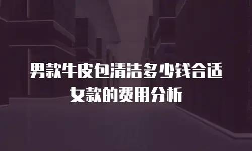 男款牛皮包清洁多少钱合适女款的费用分析